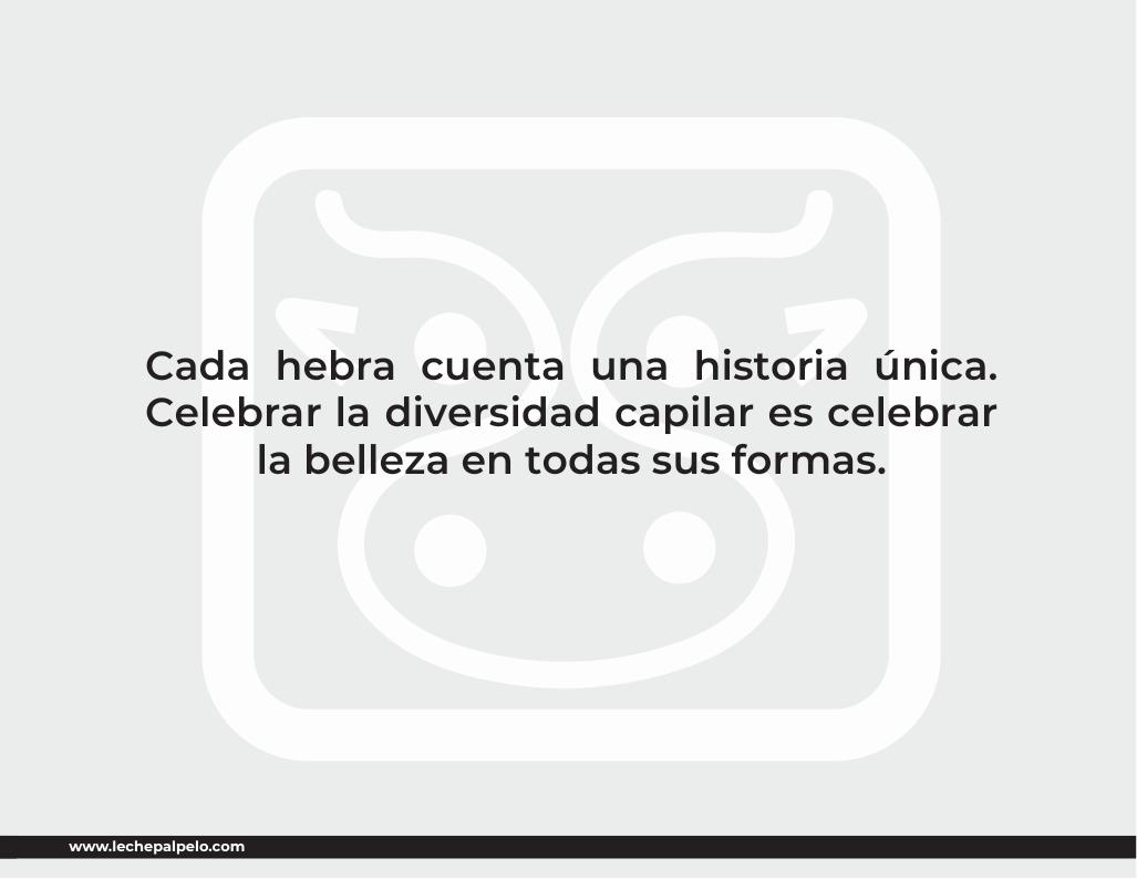 Catálogo imagen 6